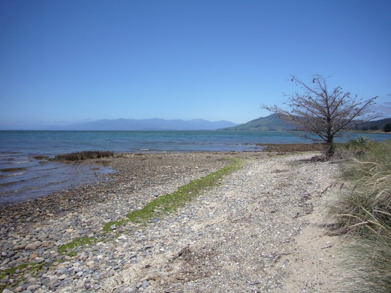 Travel - New Zealand - North West and Farewell Spit